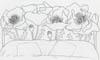 drawing poppy